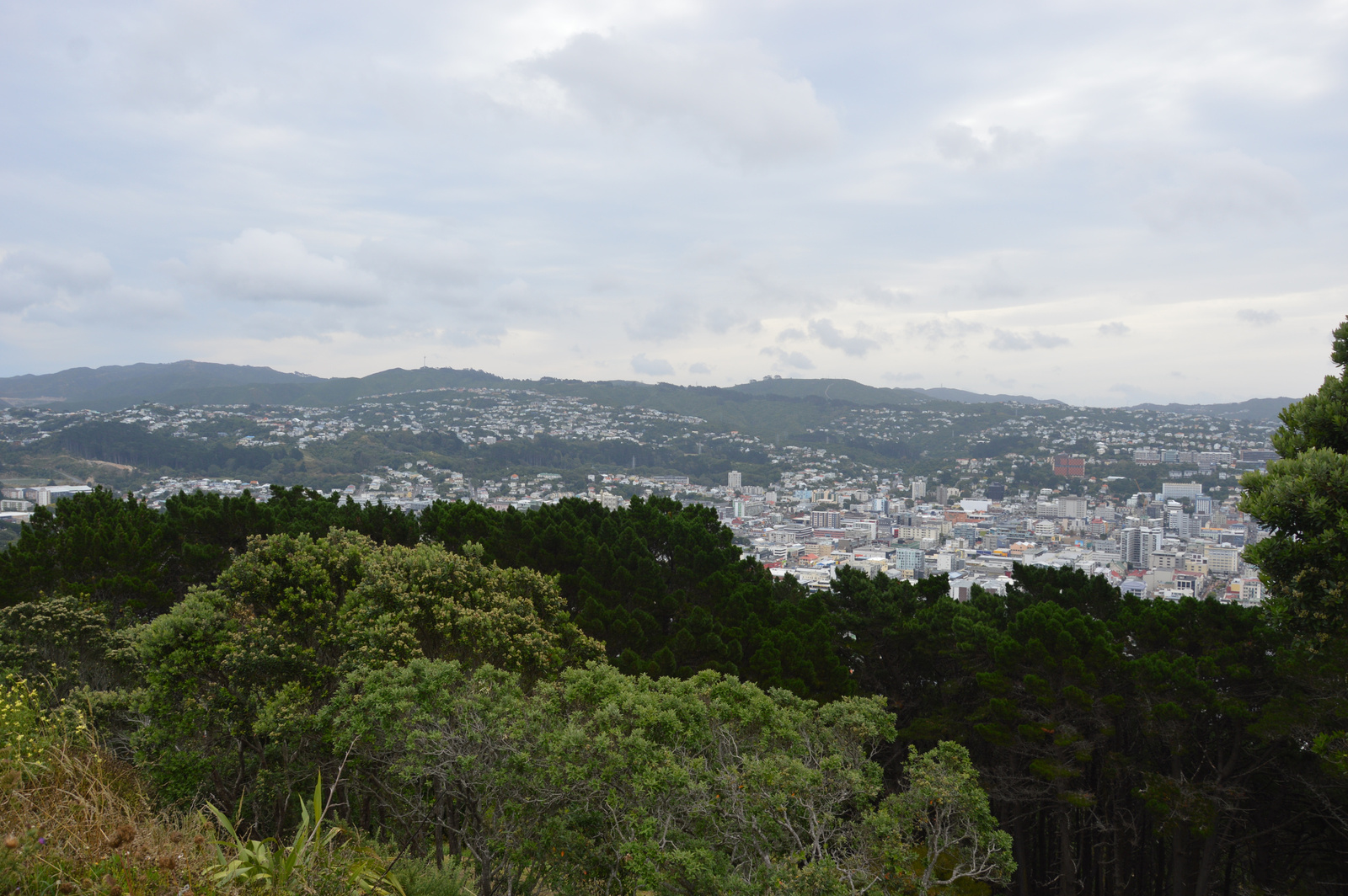 Wellington Mt Victoria kilátás 01