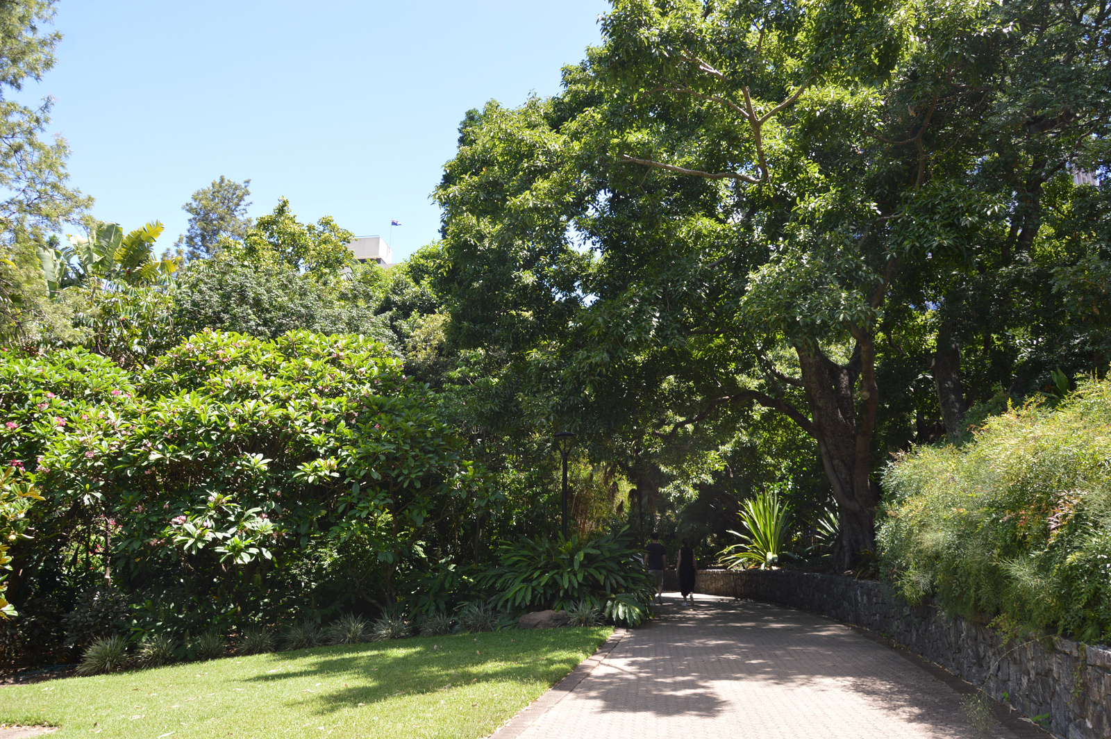 Brisbane Botanikus kert 02