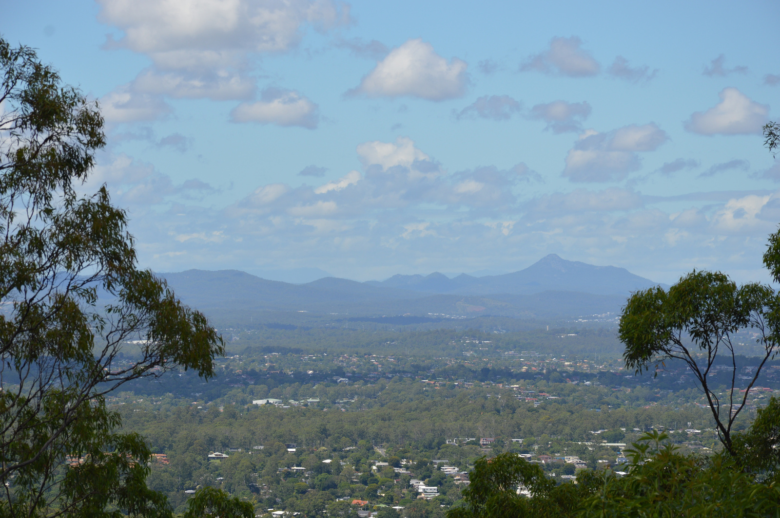 Brisbane Mount Coot-Tha kilátás 03