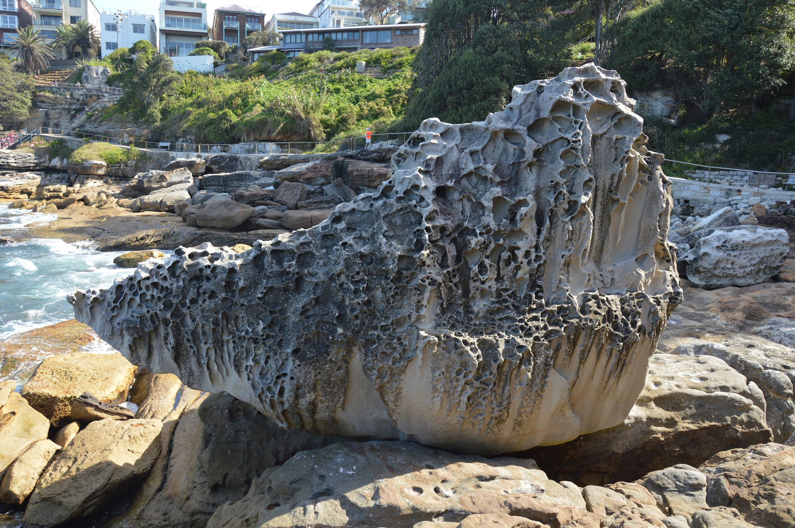 Bondi Coastal Walk 02