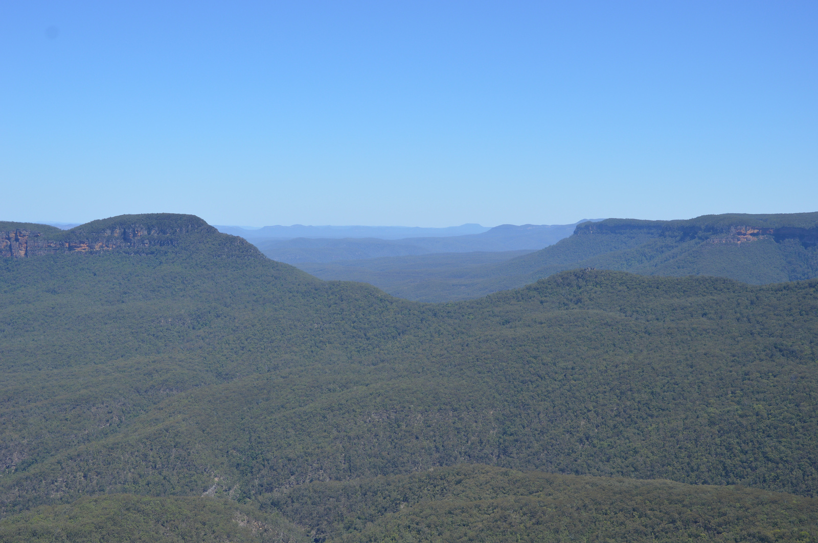 Blue Mountains Kilátás Echo Point-ról