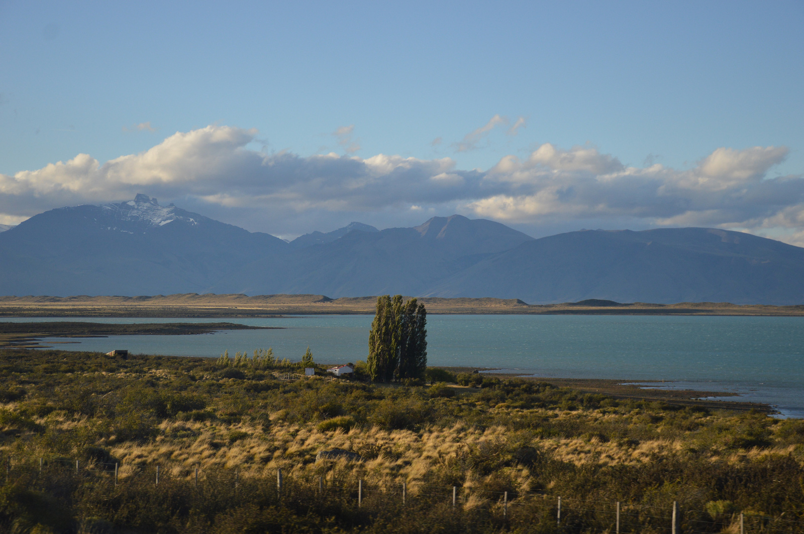 Lago Argentino fával és hegyekkel