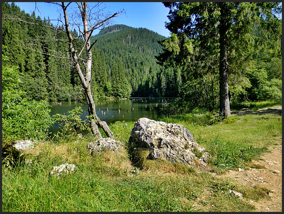 A Gyílkostó mentén.