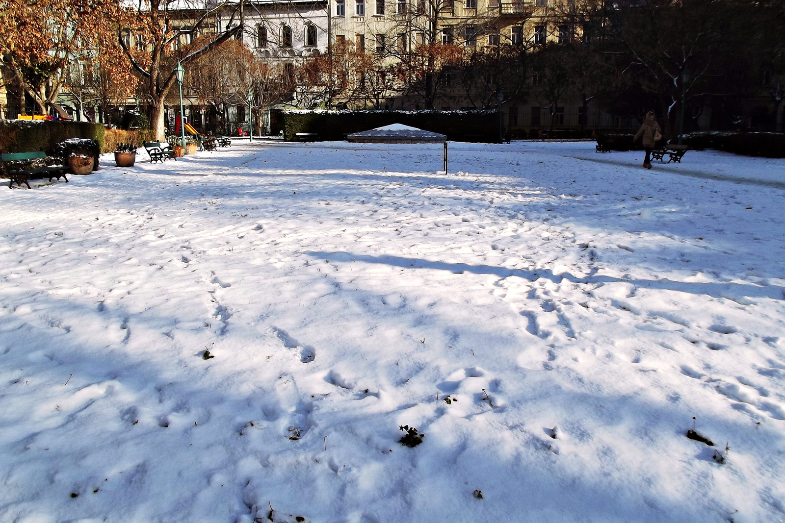 Károlyi-kert télen
