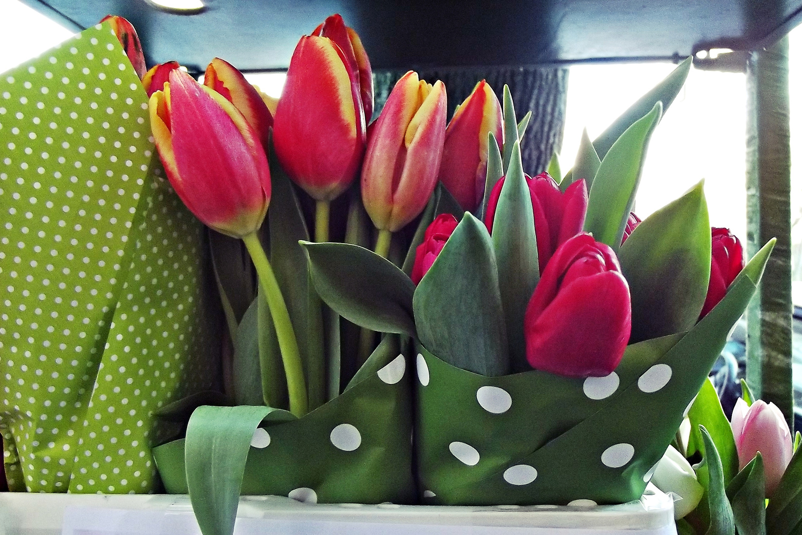 tulipán csokrok