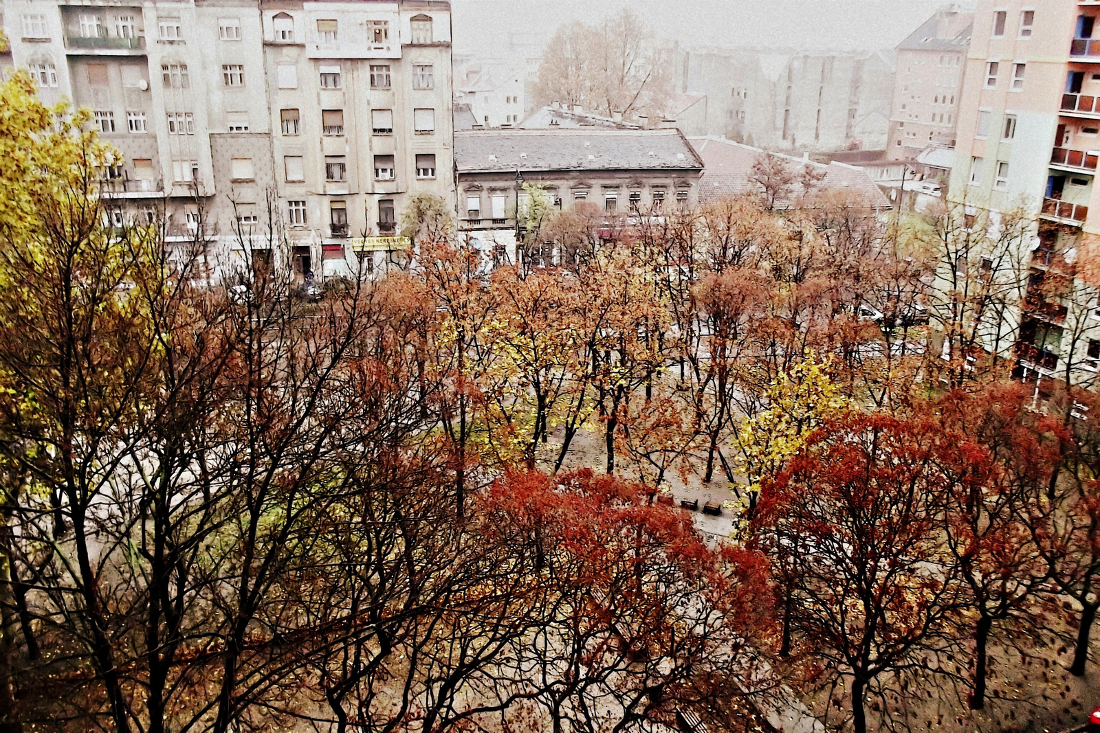 köd, eső, ősz