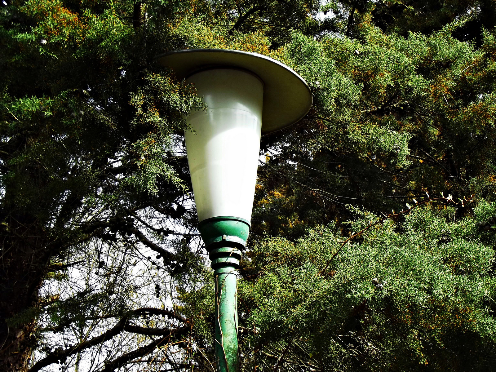 kalapos lámpa