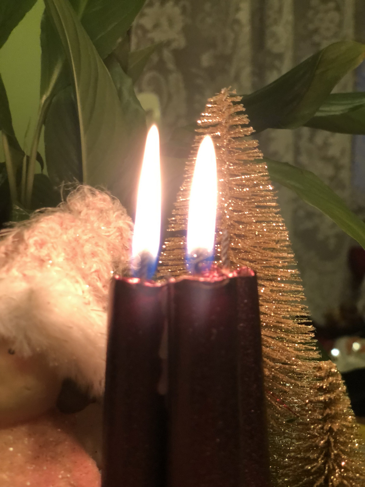 Advent 2.