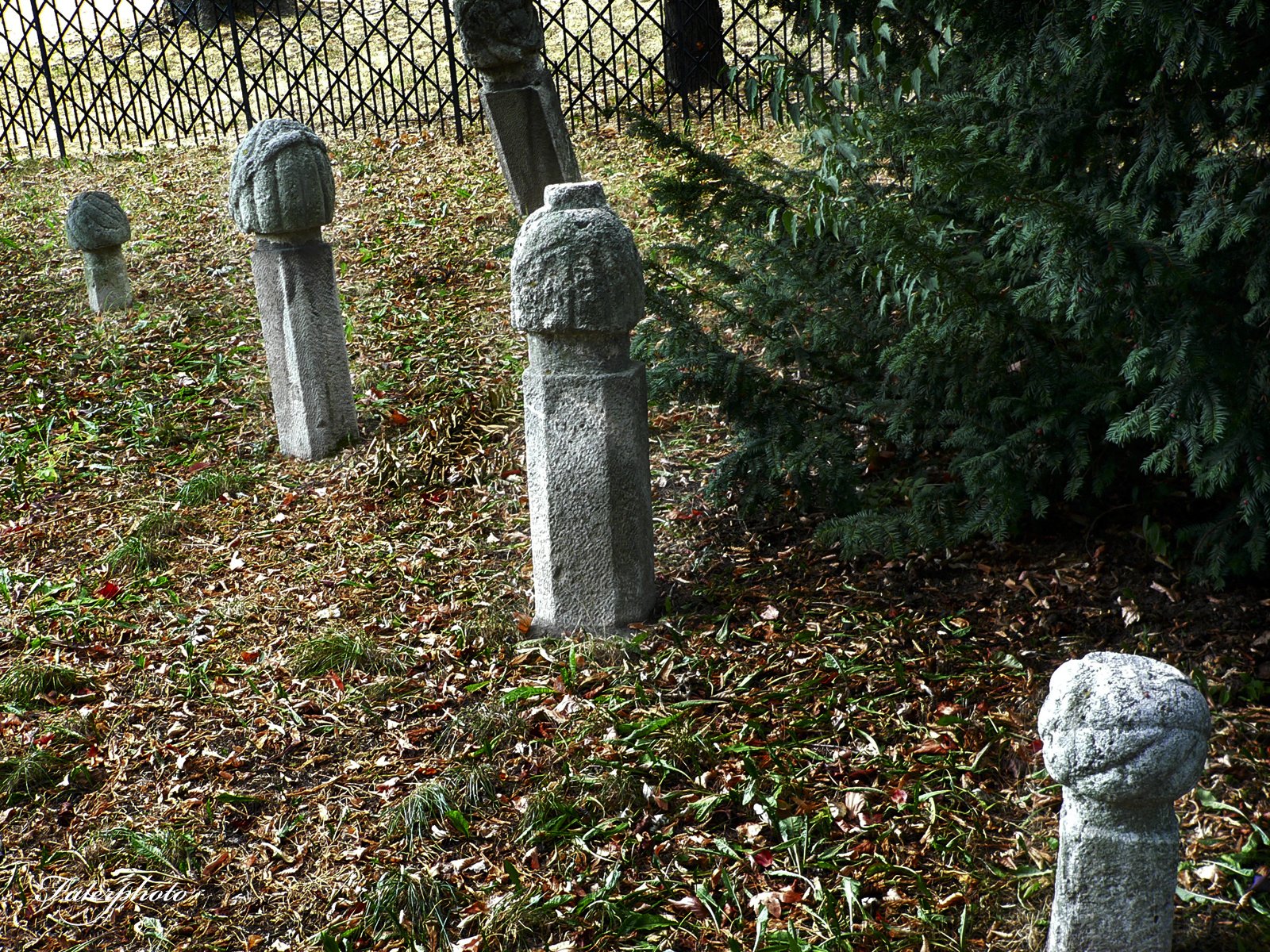 Tőrők temető