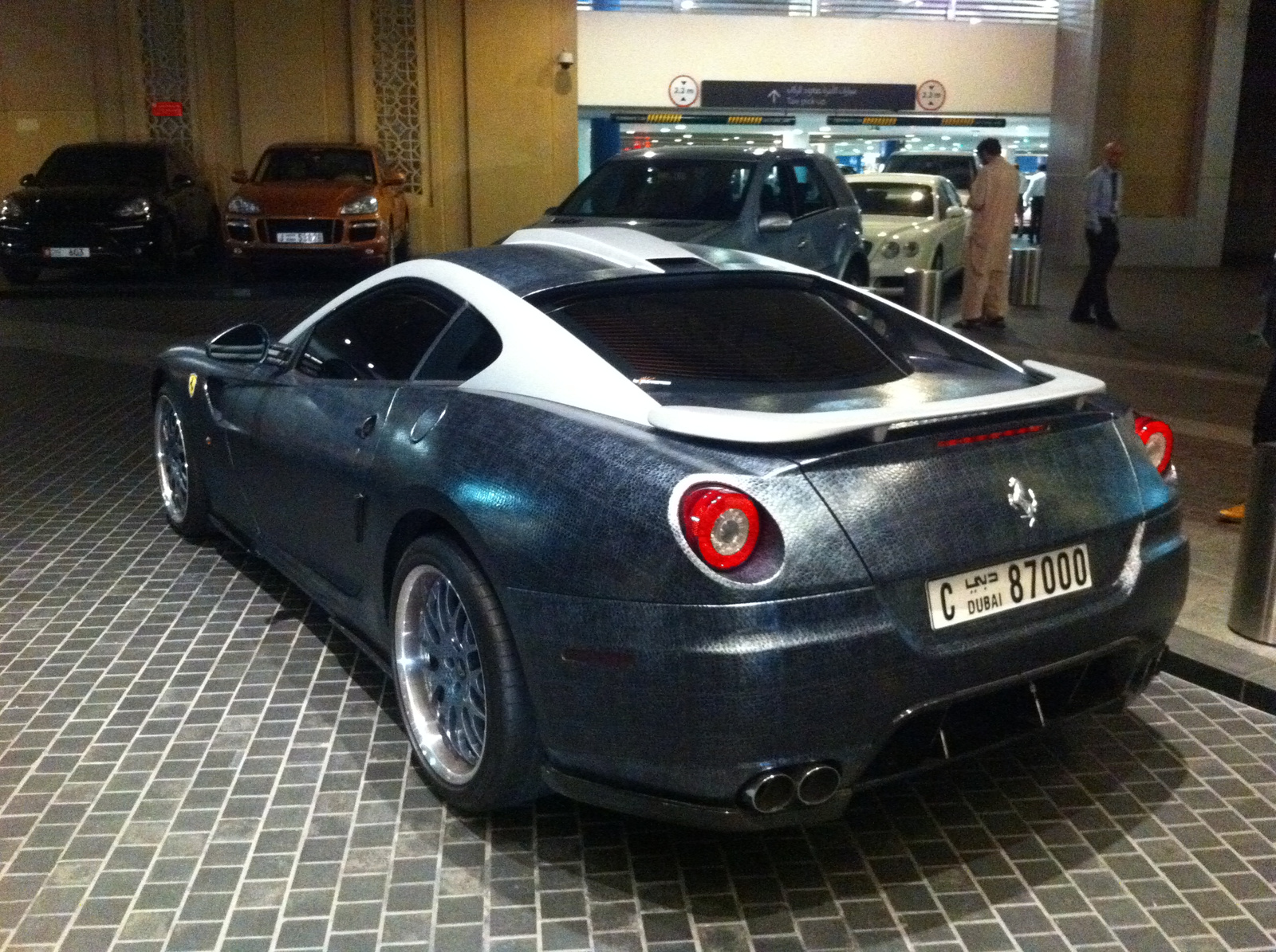 Ferrari 599 GTB Fiorano Hamann Snake Grey Leather