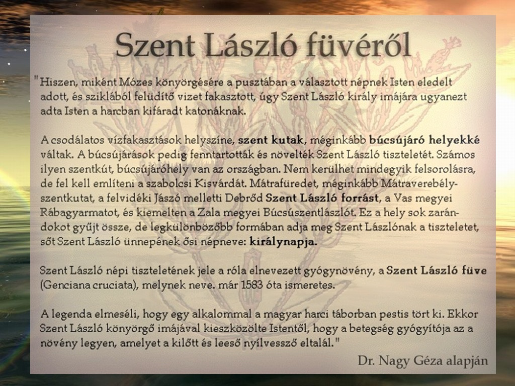 szt-lászló füve