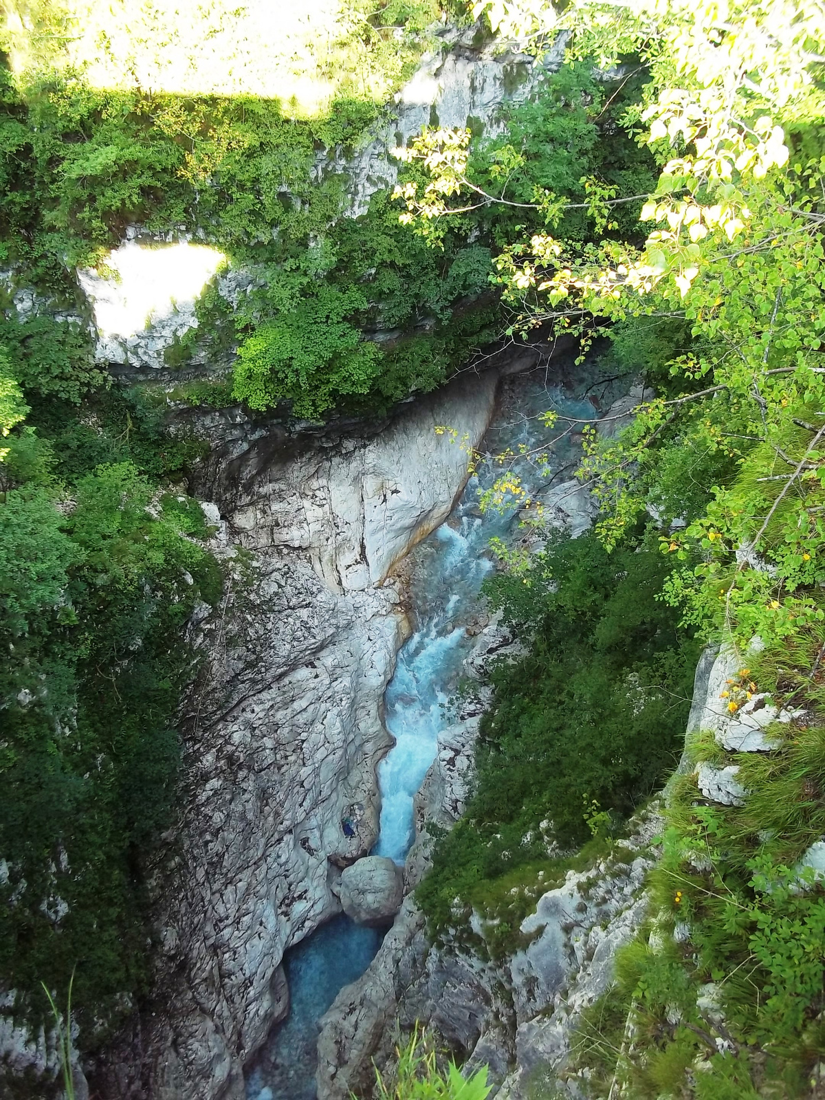 Koritnica patak szurdoka