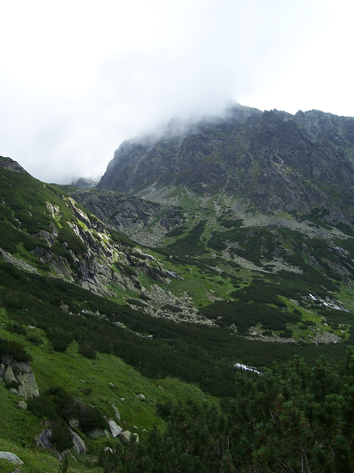 2009 Szlovákia 1357