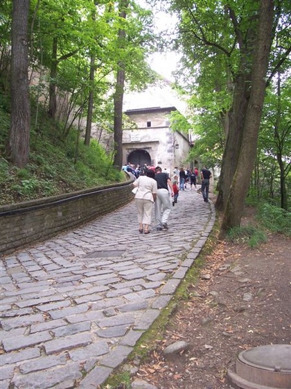 2009 Szlovákia 1009