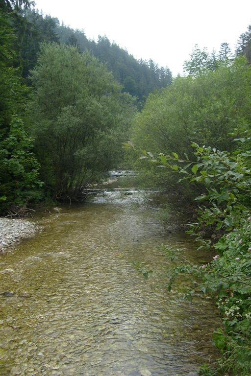 Szlovákia 2010 076