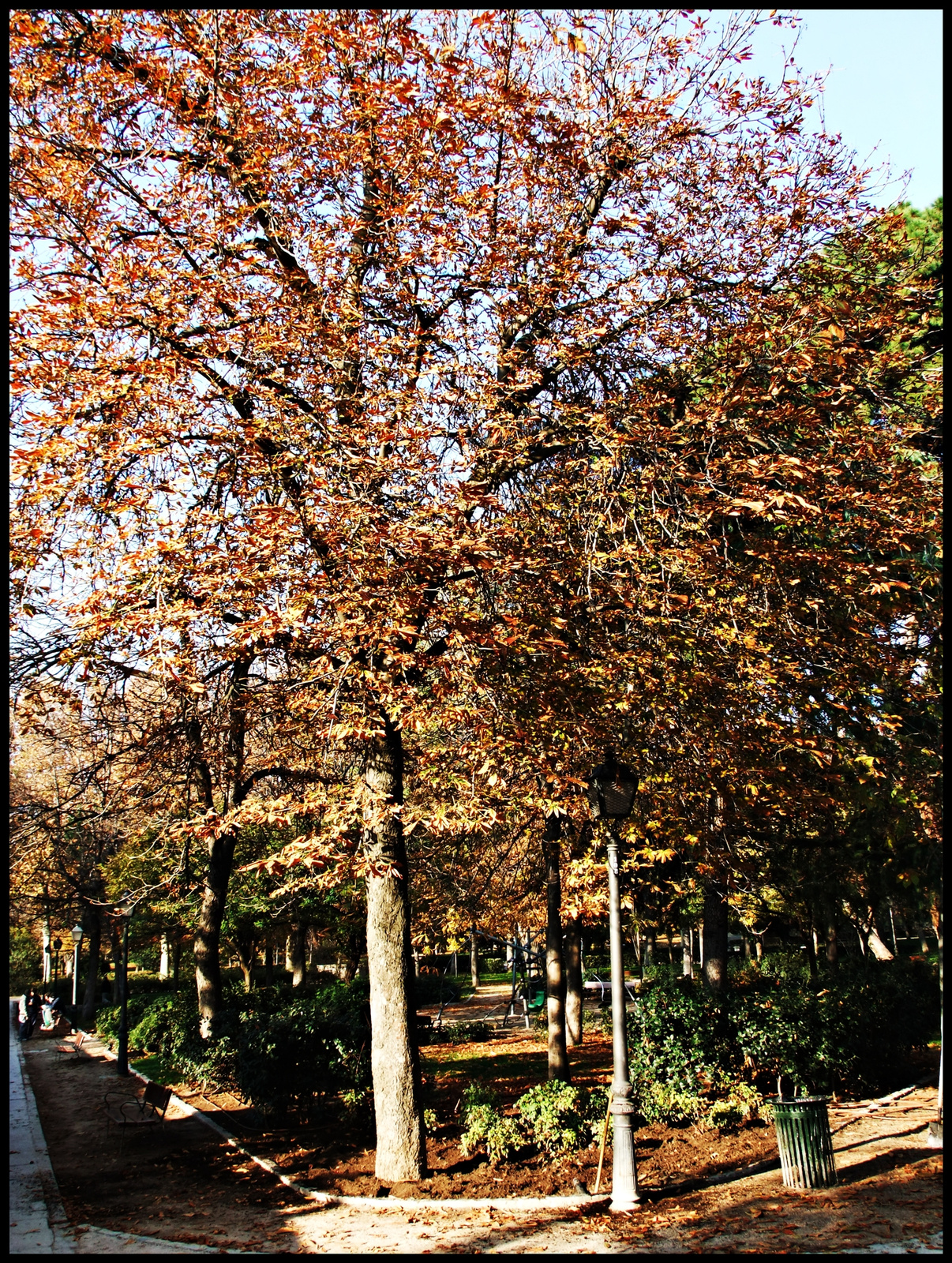 Parque Retiro 01.