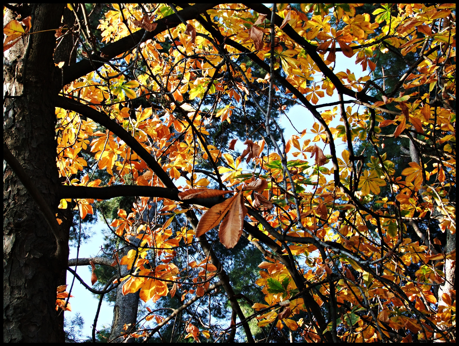 Parque Retiro 11.