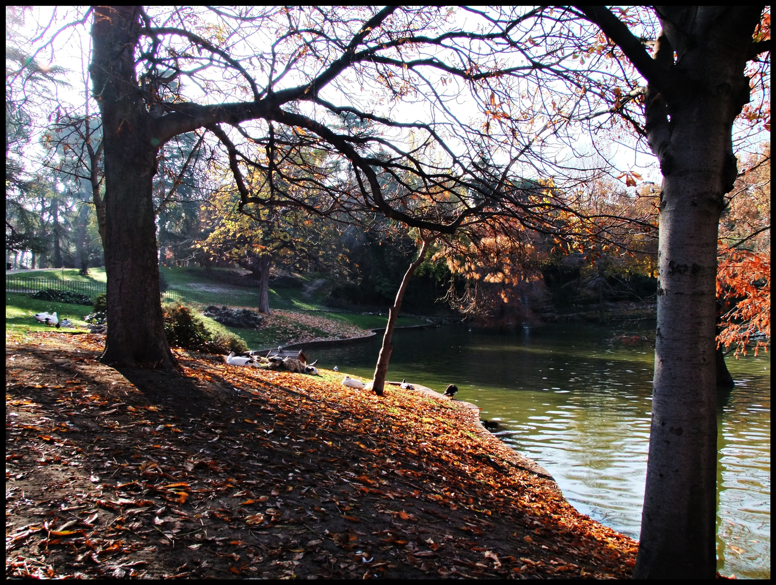 Parque Retiro 12.