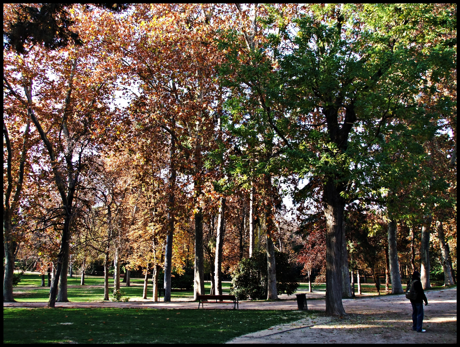 Parque Retiro 15.