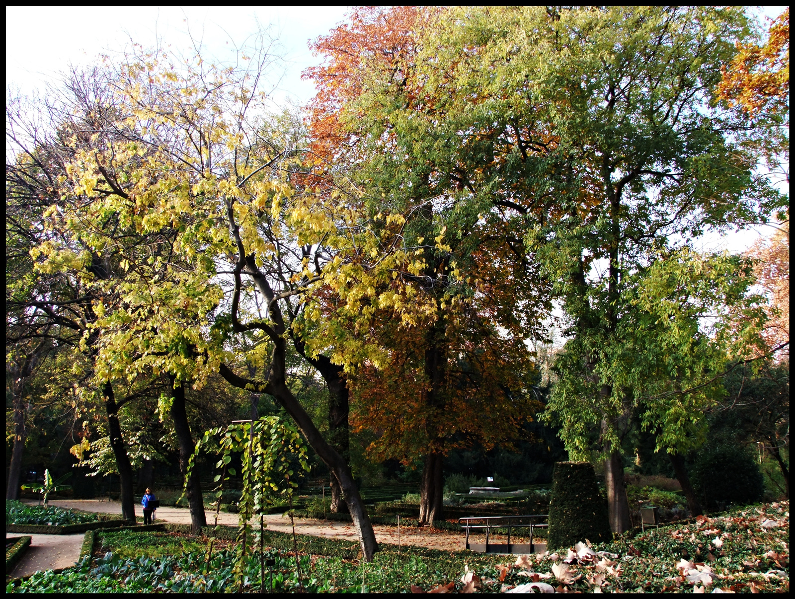 jardín botanico