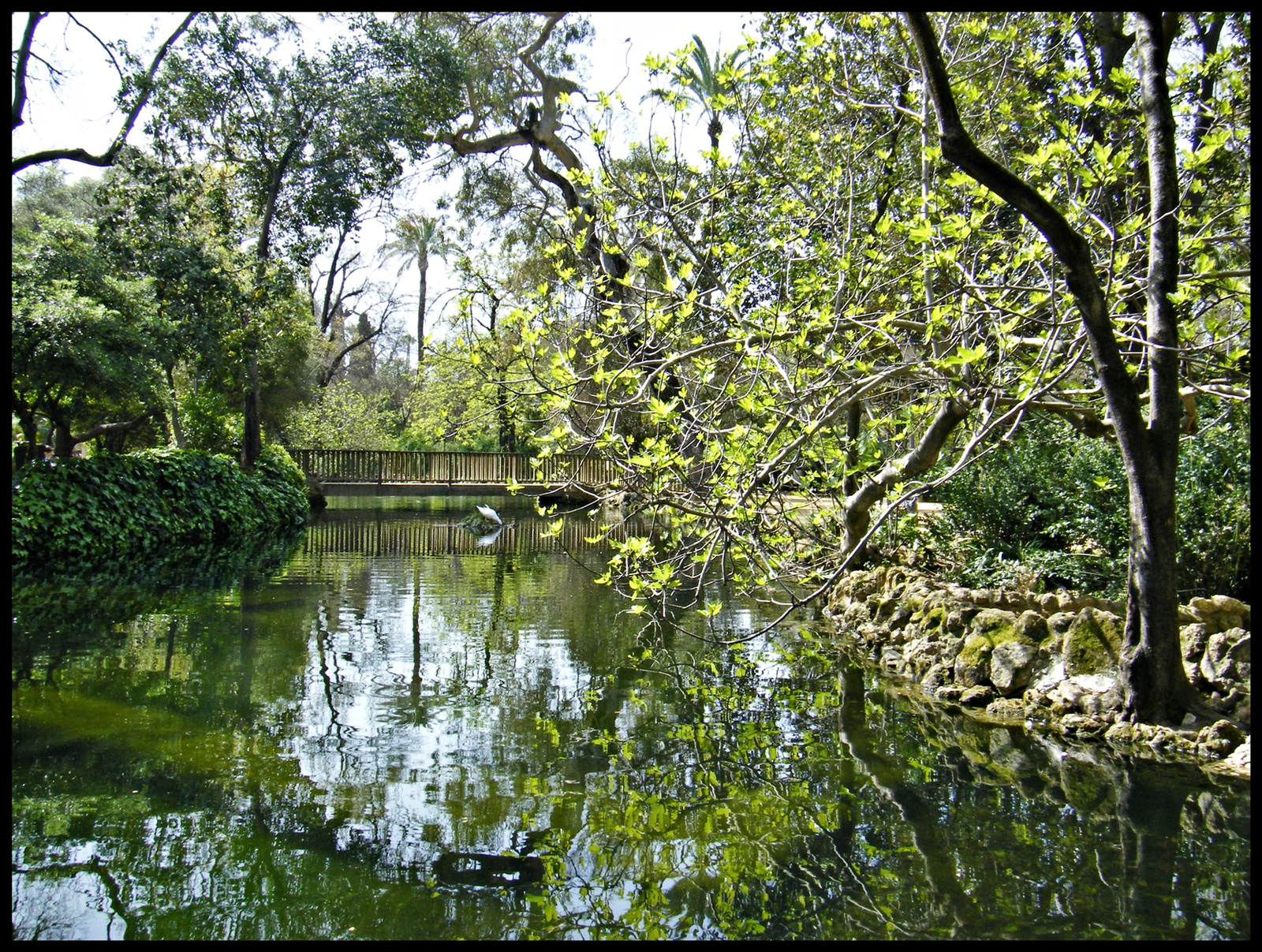 Parque de Maria Luisa