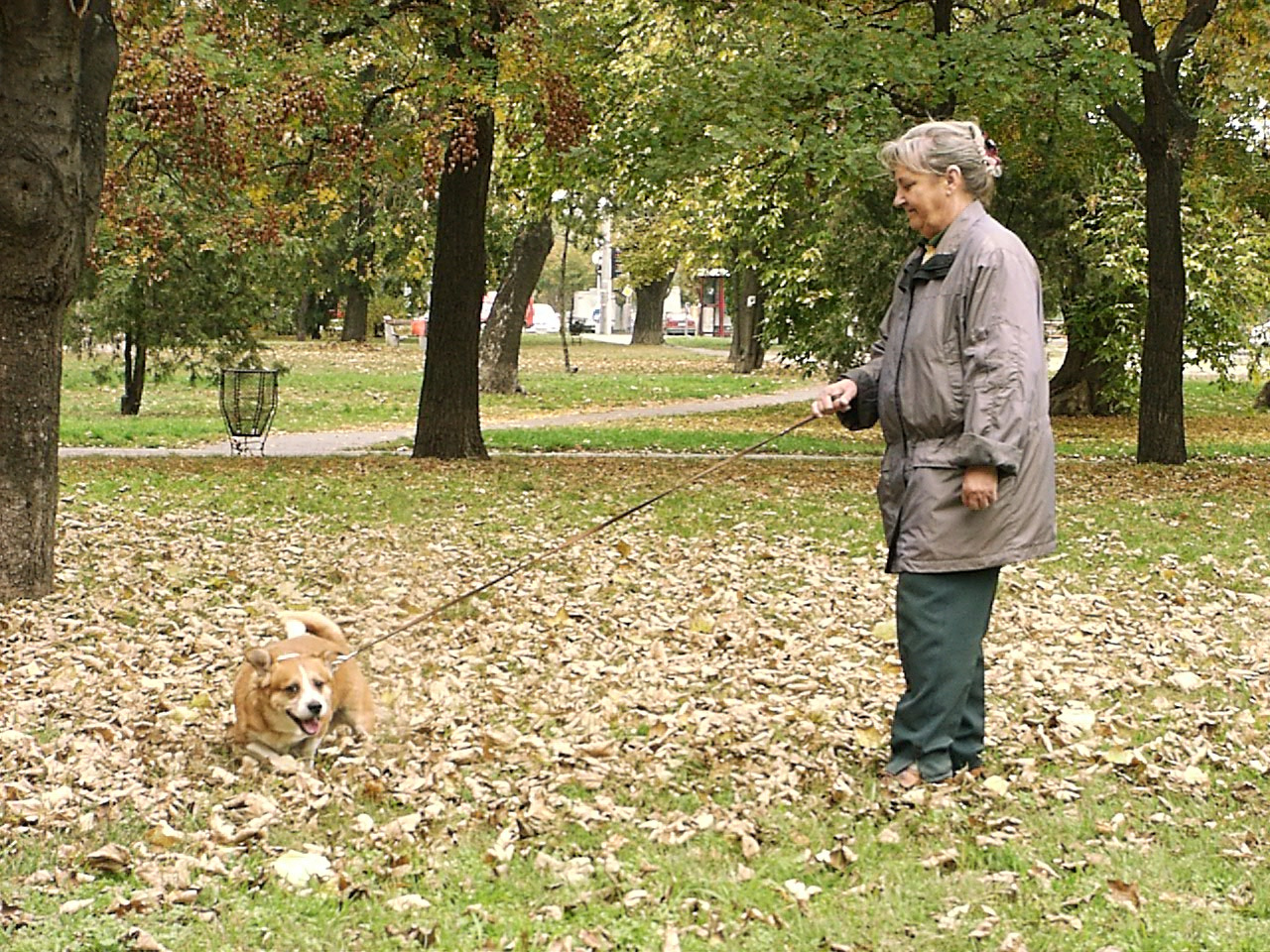 Kutya és gazdája a Béke téren 2007.10.11.03