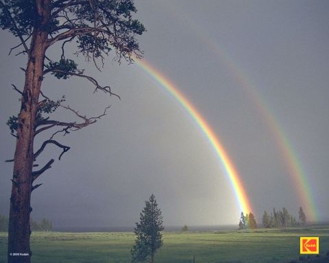 rainbows1