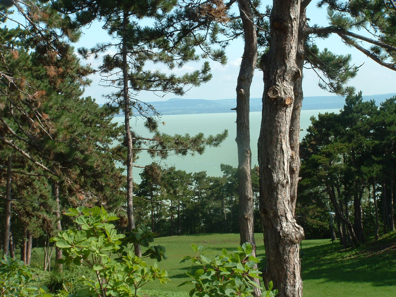 BALATON