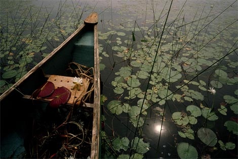 water-lilies-canoe-maine-661146-ga