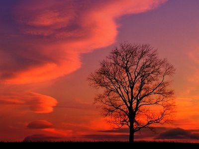 normal Crimson Twilight, Kentucky