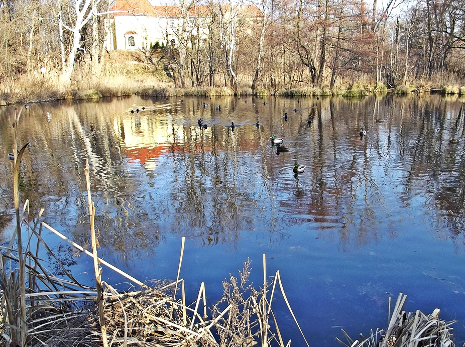 Márciusi tavas tükör