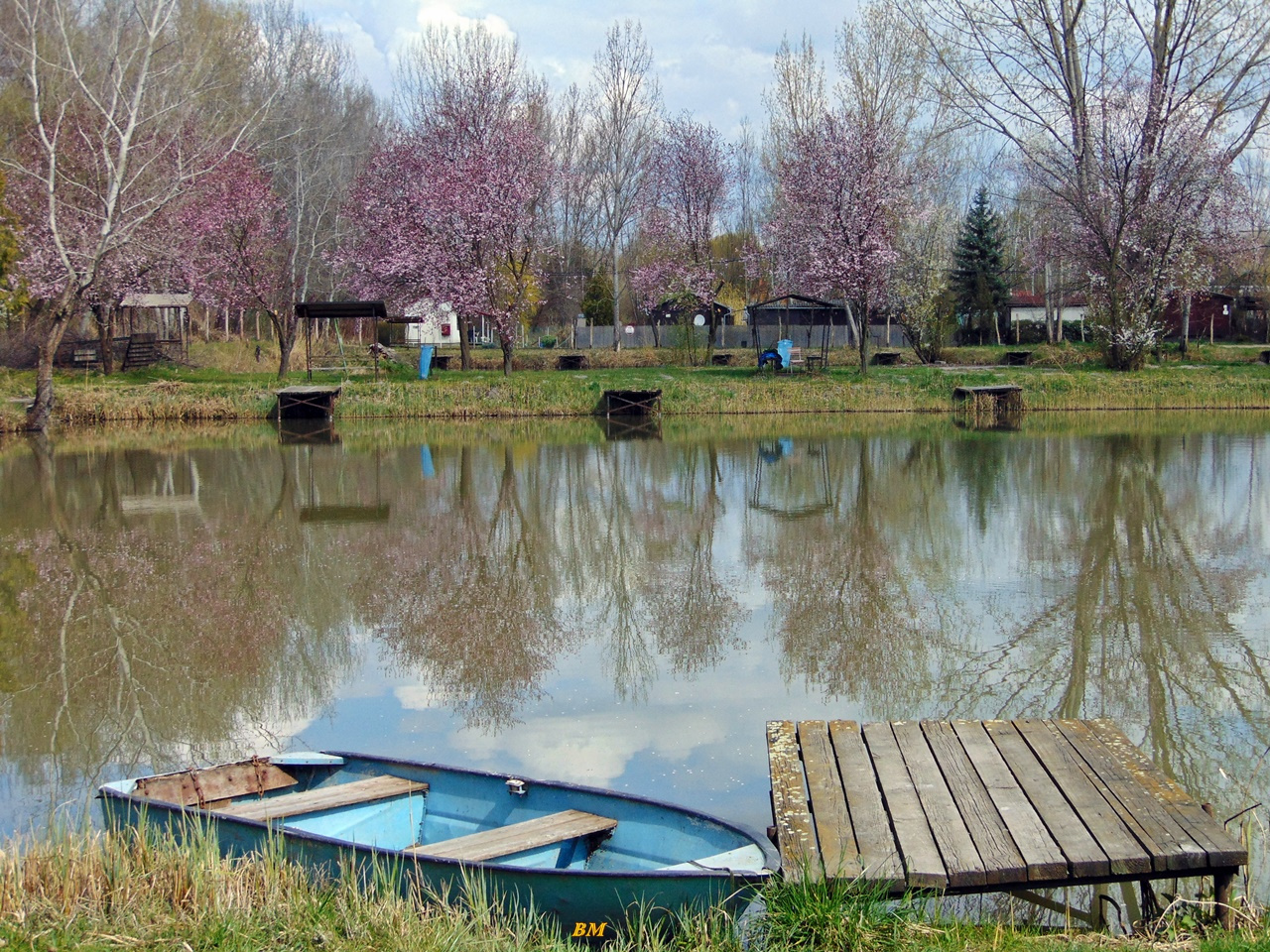 Tavasz a tőzegen3