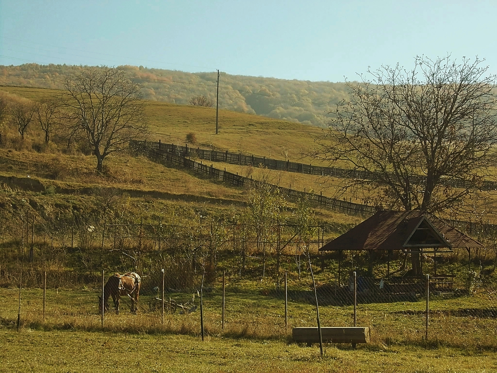 Őszi táj