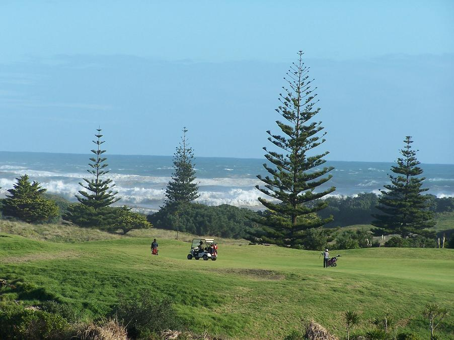 Muriwai beach 051