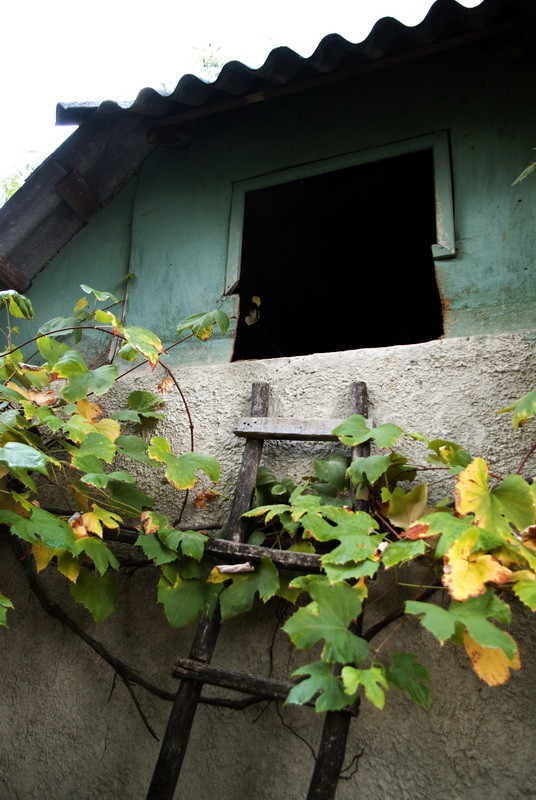 Magyarfalú, Moldva, Csángó magyar falú