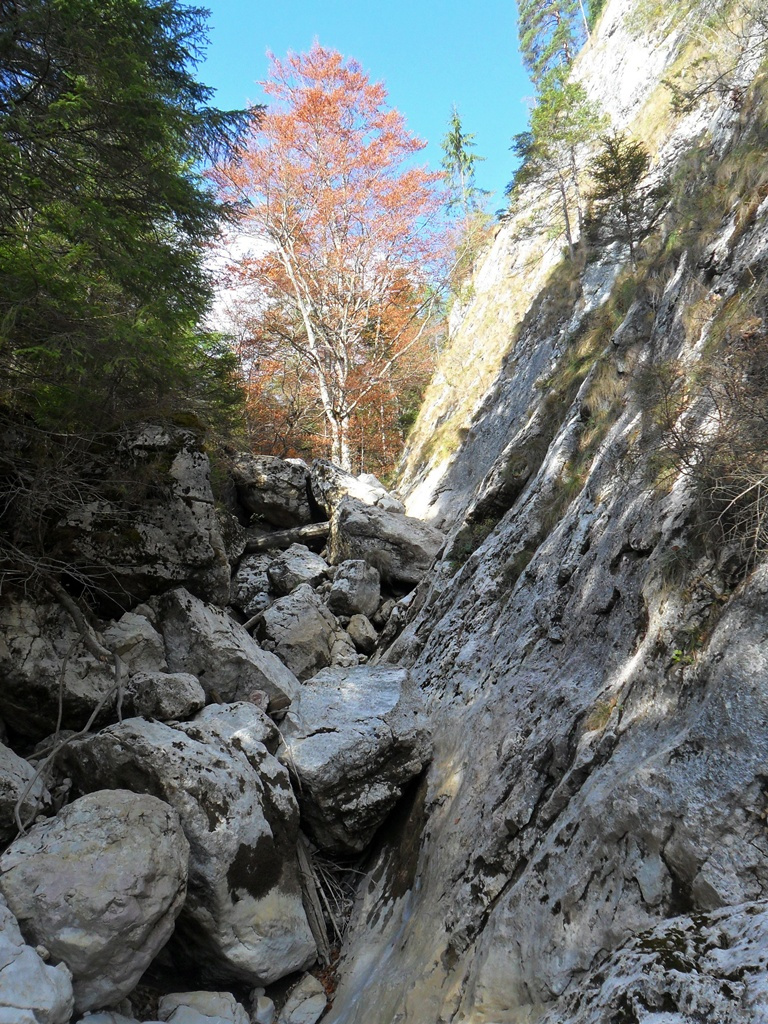 Gyergyó a Hegy, az Oltár-kő 03