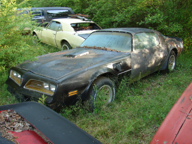 wreck78firebird