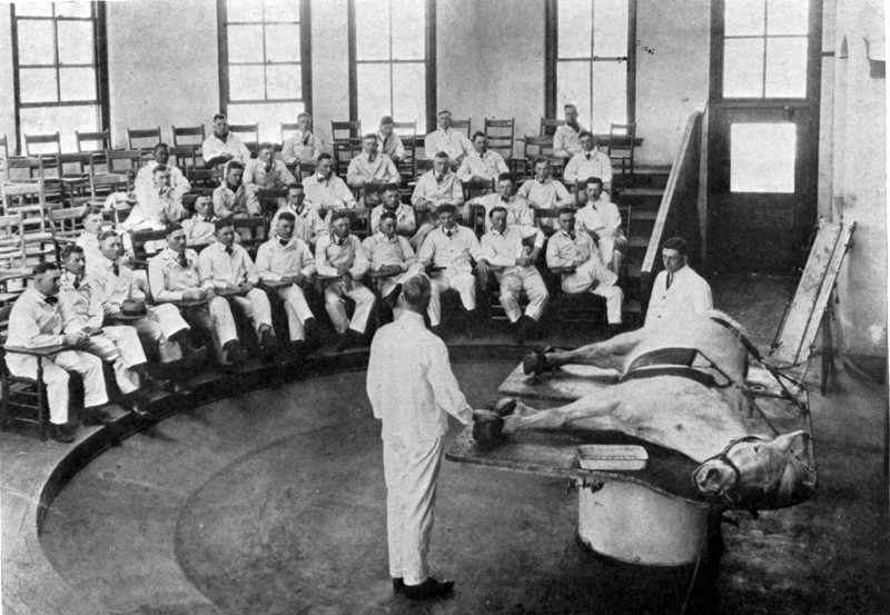 Vet Med Lab, 1920