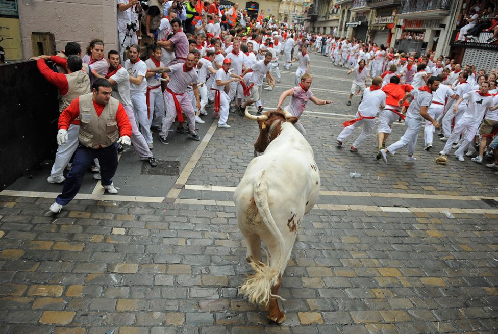 spain-festival-running-bulls-bestas-5-2011