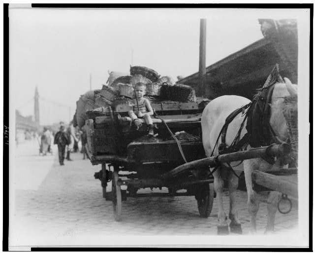 Boy driving horse-drawn wagon loaded with baskets, Hungary 1920-