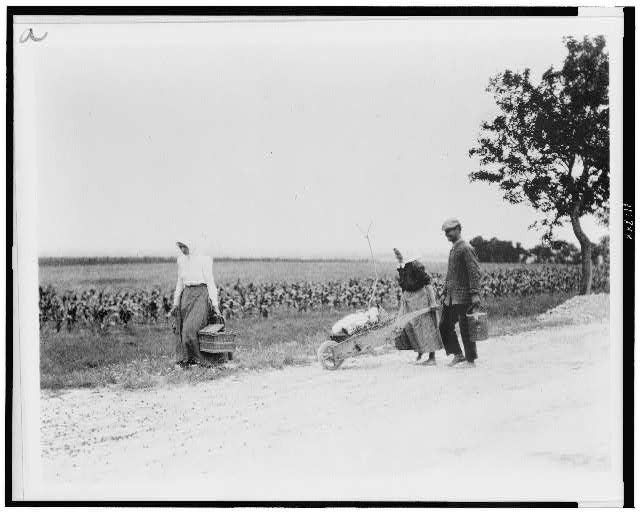 Man and two women, walking to market, with produce, Hungary