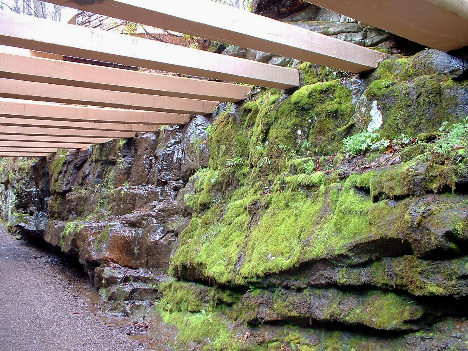 FW Driveway Canopy