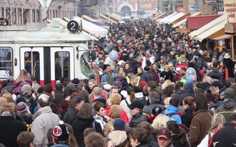 Kocsonya Fesztival Miskolc