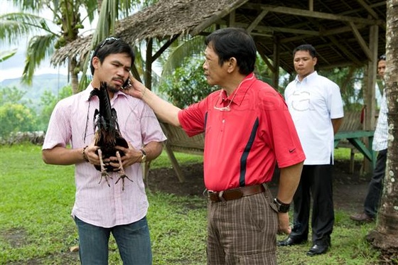 Pacquiao-Cockfighting