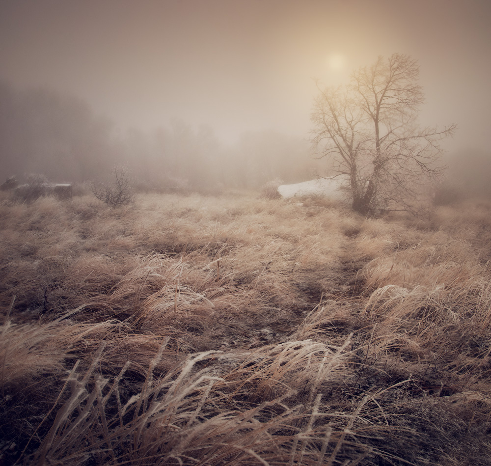 Télen a Krímben Daniel Fotozhurnal Korzhonova