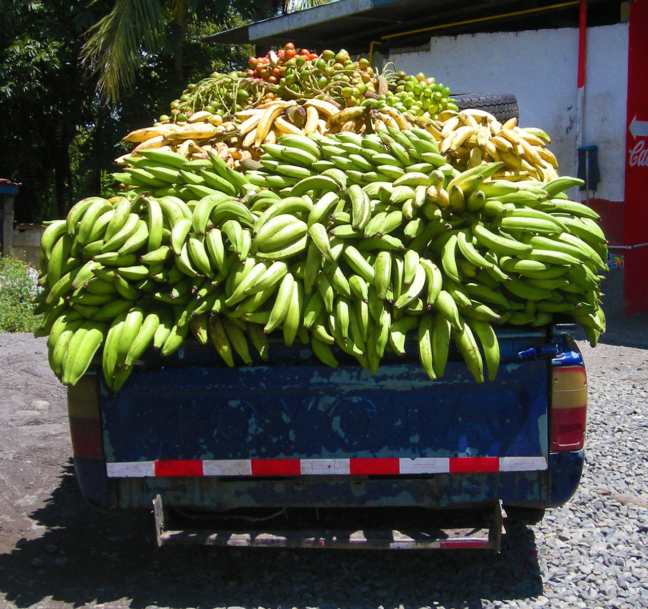 banana-delivery-truck-panama