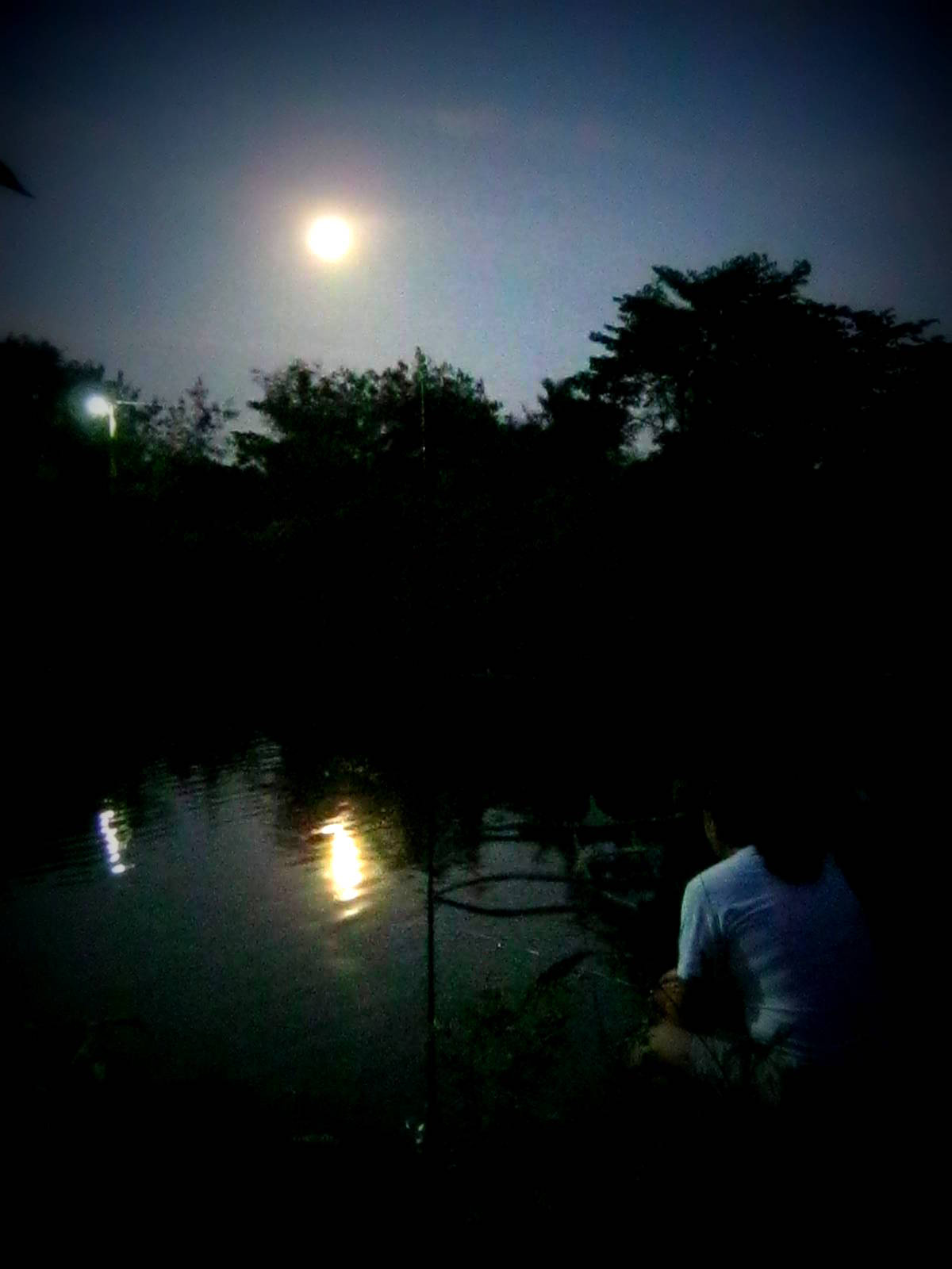 NightFishing