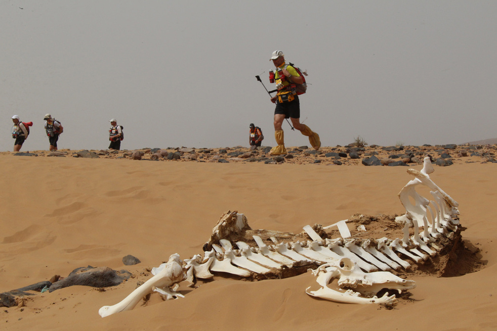 des sables