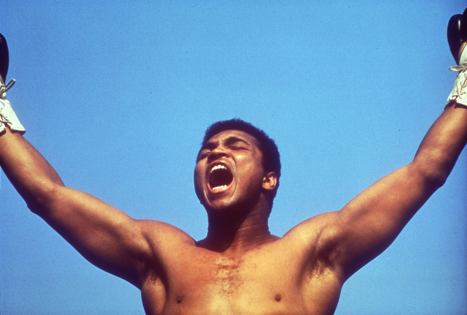 muhammad ali