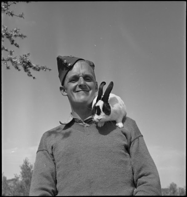 Machine gunner W Ballock with pet rabbit Saieda, Libya